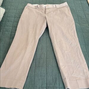 Banana Republic Light Gray Chinos